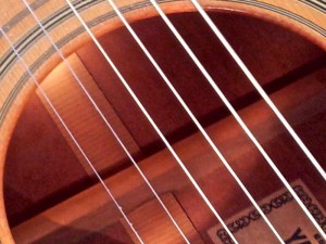 yasuma_glen_toronto6