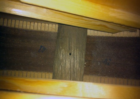 14-6-23-lennonepi-07